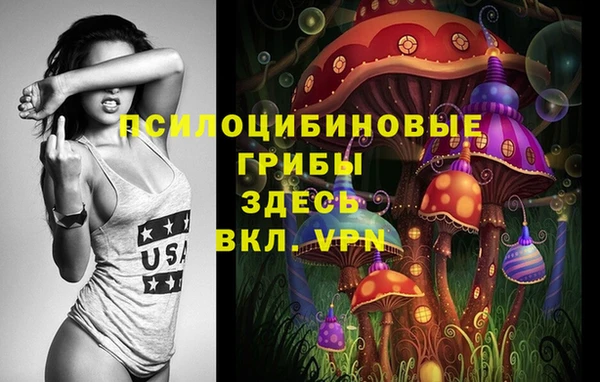 MDMA Premium VHQ Дмитриев