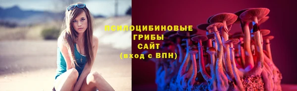 мяу мяу мука Дмитровск
