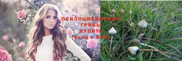марихуана Дмитров